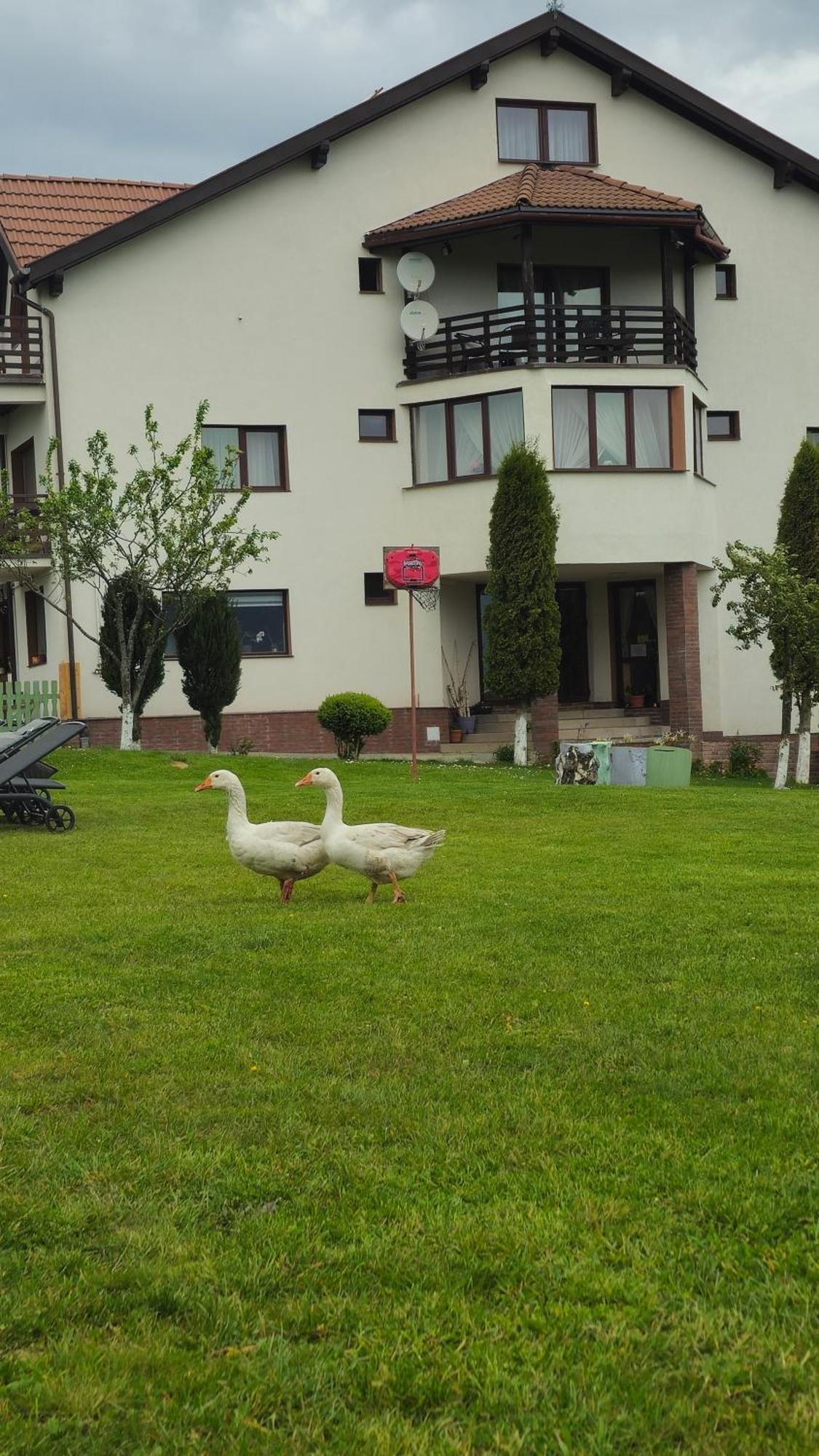 Pensiunea Tabacaru Peştera Eksteriør billede