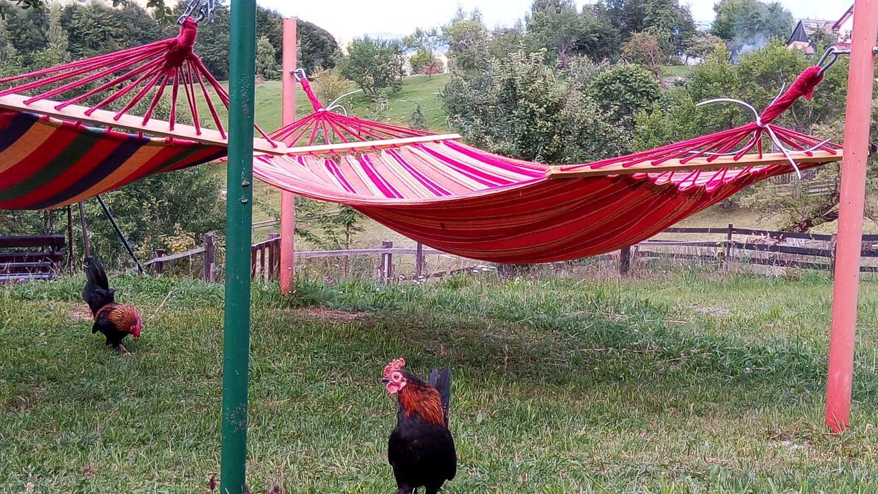 Pensiunea Tabacaru Peştera Eksteriør billede